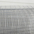 3/4 &quot;Galvaniserad Svetsad Wire Mesh